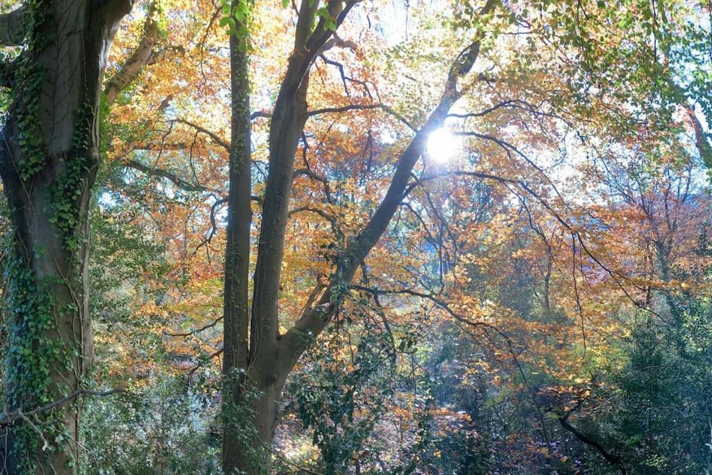 Cosy Holiday Cottage In Crickhowell. Llangattock Bagian luar foto